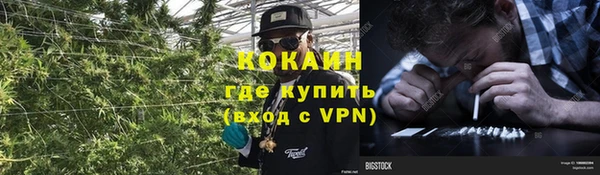 jwh Алзамай