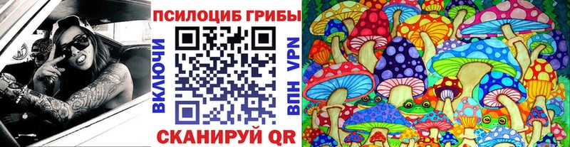 Галлюциногенные грибы GOLDEN TEACHER  Гвардейск 